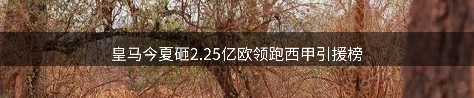 内页banner